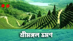 Sreemangal
